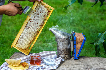 Raw honey being harvested from bee hives. Beekeeper uncapping honeycomb with special beekeeping fork. Beekeeping concept