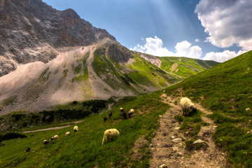 road in the austrian alps