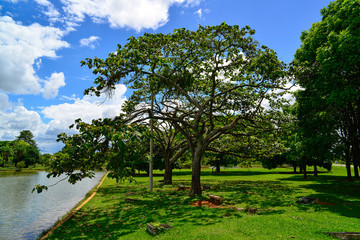 City Park in Brasilia, Brazil
