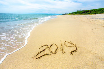 New Year 2019 on the picturesque deserted sandy shore against the backdrop of sea waves, blue sky with white clouds, bright greenery and hills on the horizon.