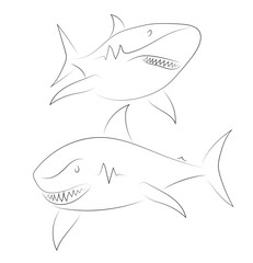 Black line shark on white background. Shark. Sketch style. Vector graphic icon animal.