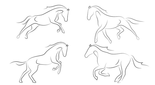 Black line horse on white background. Running horse sketch style. Vector graphic icon animal.