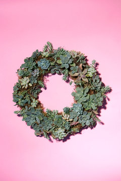Succulent wreath on pink