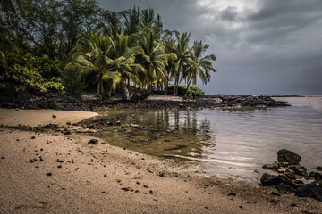 Fototapeta premium tropical beach with palm trees and stormy sky