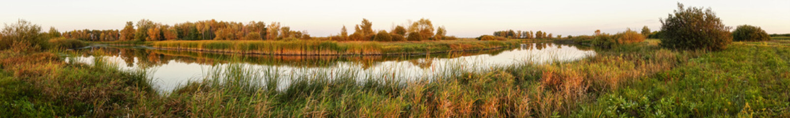 Panorama of a small river on the background of the autumn forest
