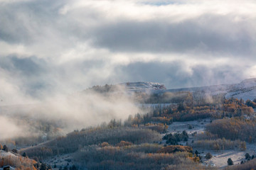 Fototapeta premium Fog and Snow on the Gold Mines