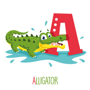 Vector Illustration Of Alphabet Letter A And Alligator