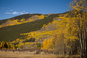 autumn in the mountains