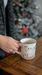 Fototapeta na wymiar Christmas mug woman holding