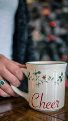 Christmas mug woman holding