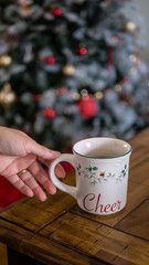 Christmas mug woman holding