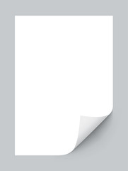 Realistic A4 paper with curled corners vector