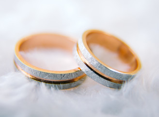 Obraz na płótnie Canvas Wedding rings closeup.