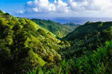Valley view on The Road to Hana, Maui, Hawaii, USA