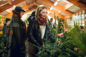 Obraz premium Blonde girl looking at Christmas trees