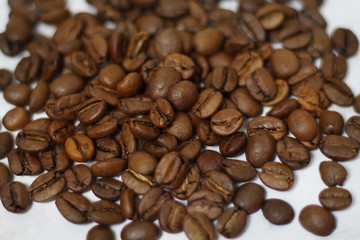 Many coffee beans roasted  macro pattern isolated background