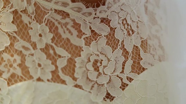 Closeup view of details of wedding dress of young bride. Beautiful floral embroidered lace at top of wedding corsage.