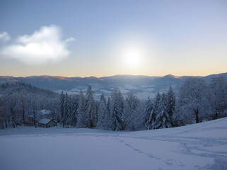 Beautiful winter landscape with snow covered trees