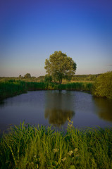 landscape with lake and blue sky
