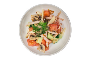 Calamari salad. isolate. decorated with greens. restaurant feed