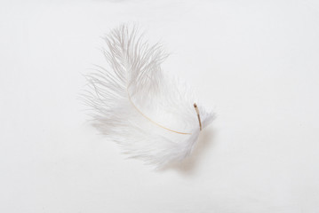 White feather on soft pillow © mdbildes