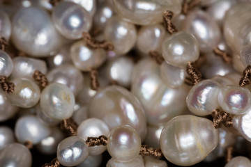 Macro of pearls
