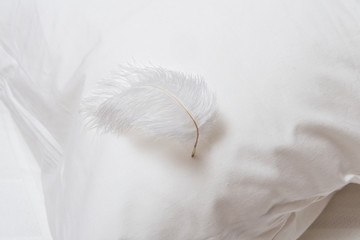 White feather on soft pillow