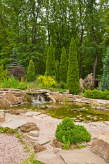 Landscape design. Small pond with water lilies and small waterfall