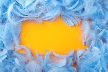 Fototapeta na wymiar frame of decorative blue feathers on an orange background