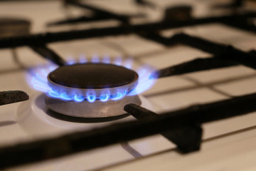 Domestic kitchen stove with blue flames. Burning gas cooker, open fire