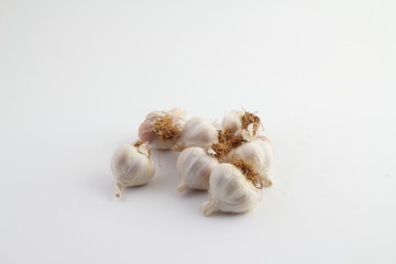 Head of garlic closeup isolated on white background. Studio image of spicy vegetable and herb, healthy natural organic food, cooking ingredient