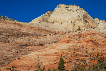 Zion National Park Utah Landscape