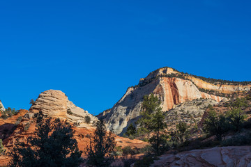 Fototapeta na wymiar Zion National Park Utah Landscape
