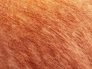 Fell Textur