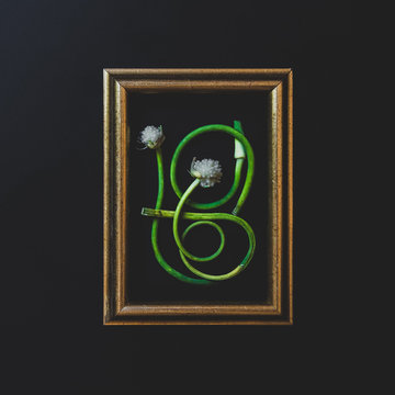 Flowers in a picture frame
