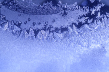 Frosted Window with unique pattern appearance of a frozen forest of evergreen trees
