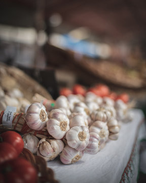 Garlic