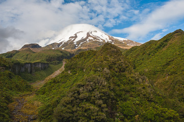 Taranaki, Around the Mountain Circuit, Egmont National Park, New Zealand