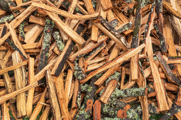 Freshly chopped wood logs. Tree logs to make fire as an energy source 