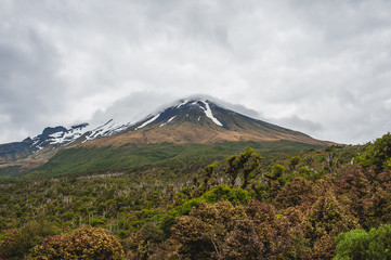 Taranaki, Around the Mountain Circuit, Egmont National Park, New Zealand