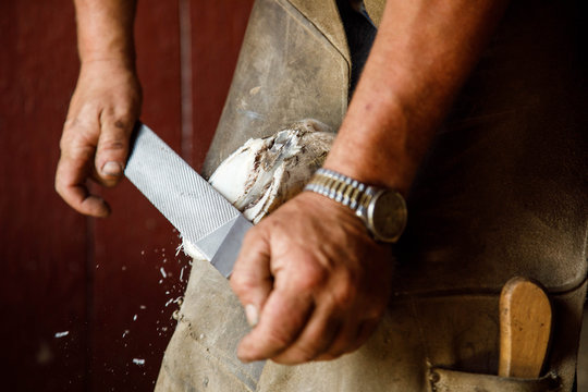 รูปภาพRasping – เลือกดูภาพถ่ายสต็อก เวกเตอร์ และวิดีโอ111,036 | Adobe Stock