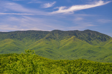 Vista of the Blue Ridge Mountains in the Pisgah National Forest in western North Carolina