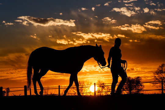 Silhouette of woman walking with horse in ranch