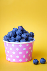 blueberry in a cheerful bright glass