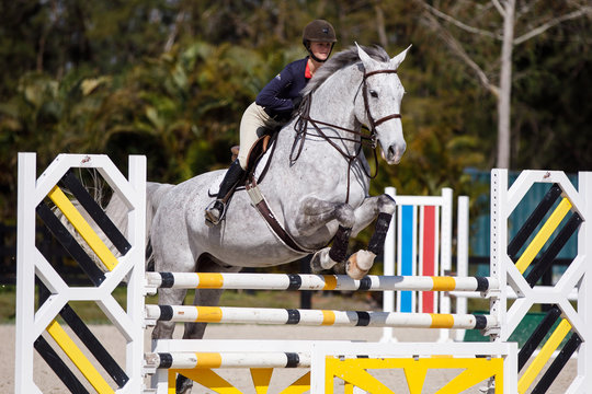 Grey Horse Jumping