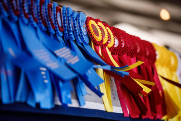 Horse Show Ribbons Flying in the Wind