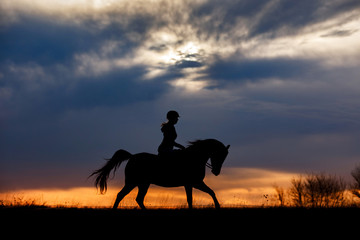 Silhouette of Rider