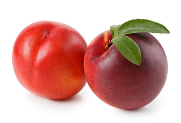 Peaches or nectarines with leaf isolated on white