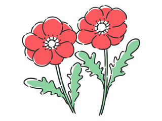 春の花　アネモネ