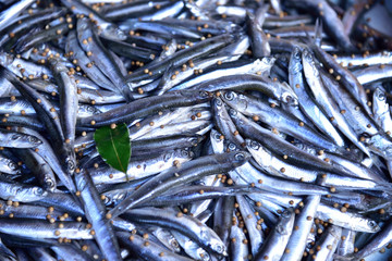 Fresh sprats with coriander seeds and bay leaf. © konik60